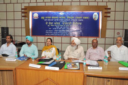 International-Punjabi-Seminar-6